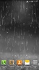 مطر خلفيات حية screenshot 8