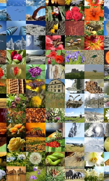 ZaBa Photo Mosaic Lite - Preview 5