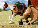 Horse Run screenshot 9