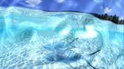 Watery Desktop 3D screenshot 1