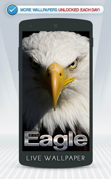 Eagle Live Wallpaper - Preview 8