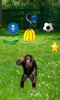Real Talking Monkey for Android 2