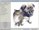 Bastet Windows screenshot 3