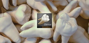 صورة مميزة لـDental - Lite