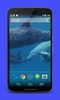 Dolphins Video Live Wallpaper screenshot 4