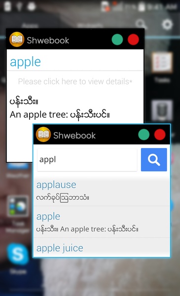 Shwebook Dictionary Pro - Preview 4