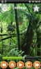 JungleSound screenshot 2