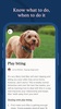 Zigzag Puppy Training App screenshot 2