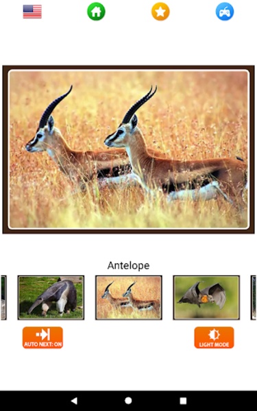 Animal sounds-Kids Game - Preview 9
