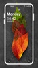Autumn HD Wallpapers screenshot 5
