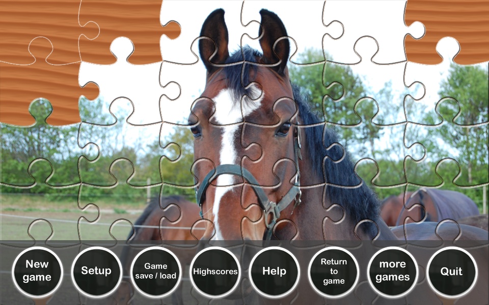 Puzzle Horses - Preview 3