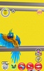 My Talking Parrot screenshot 2