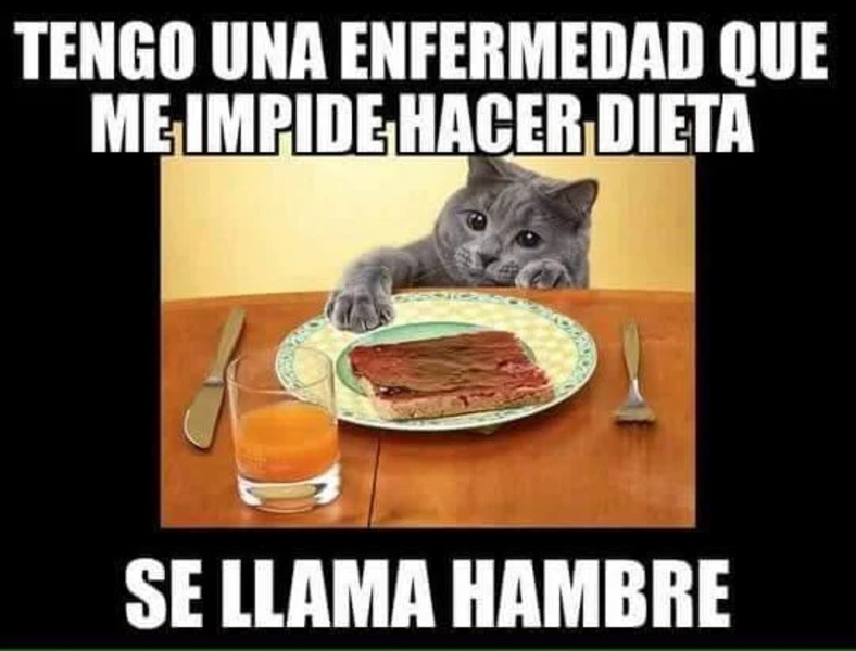 MEMES DIVERTIDOS - Preview 8