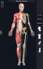 My Muscle Anatomy screenshot 9