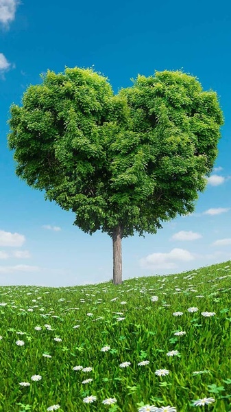 Love Tree Live Wallpaper - Preview 8