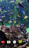 Aquarium 4K Video Wallpaper screenshot 5