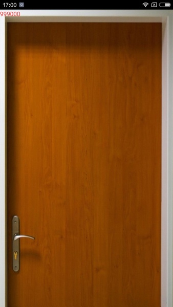 The Door - Preview 1