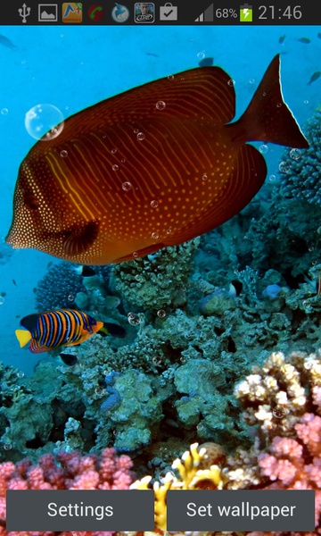 Coral Reef Live Wallpaper - Preview 2