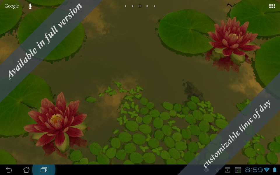 3D Lotus Free - Preview 2