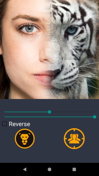Animal Face Maker - Preview 3