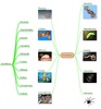 miMind - Easy Mind Mapping screenshot 7