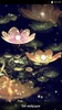 Water Lotus Lantern screenshot 4