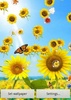 Flowers Live Wallpaper screenshot 7