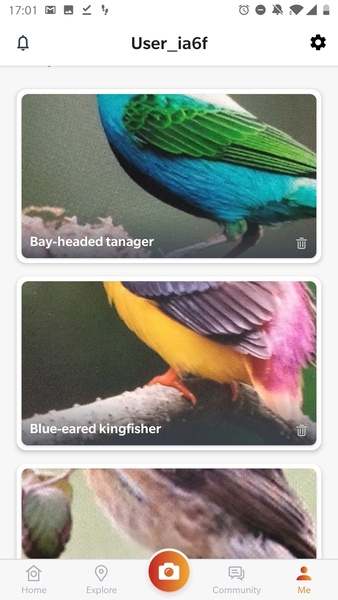 Picture Bird - Bird Identifier - Preview 4