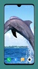 Dolphin Wallpaper HD screenshot 1