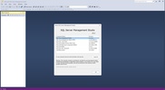 SQL Server Management Studio (SSMS) screenshot 2