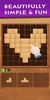 Wood Block Puzzle - Top Classic Free Puzzle Game screenshot 3