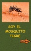 MOSQUITO TIGRE screenshot 3