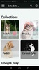 Cute Cats Wallpapers - Kitten screenshot 6