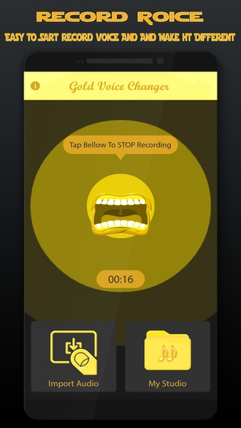 Gold Voice Changer & Voice Recorder - Preview 6