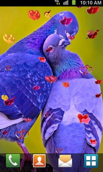 Love Birds Live Wallpaper - Preview 9