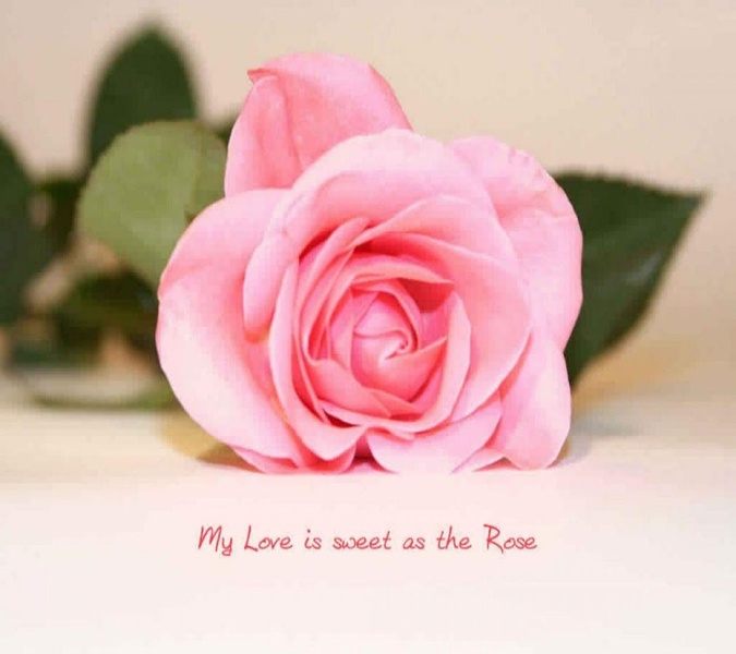Love Quotes Images Whats - Preview 7