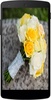 Yellow Roses Wallpapers screenshot 1