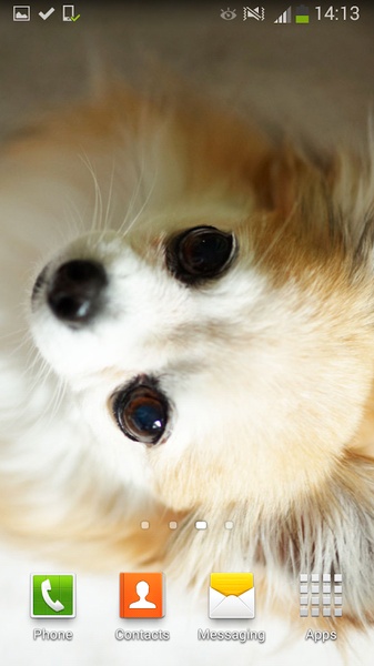 Cute Dogs Live Wallpaper - Preview 2
