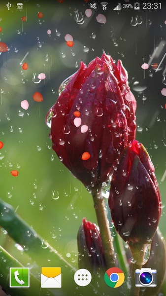 Rose Drops Live Wallpaper - Preview 8