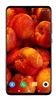 Fruit Wallpaper 4K screenshot 4
