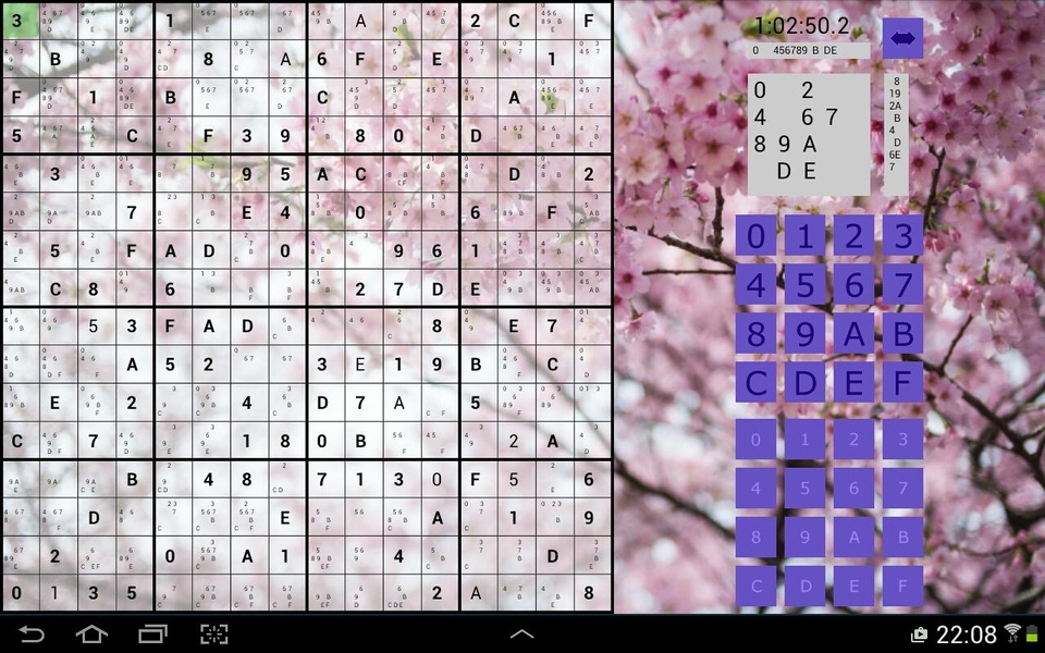 The Big Sudoku - Preview 12