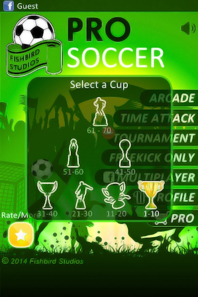 Professional Soccer - Preview 14