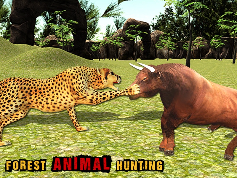 African Cheetah Wildlife - Preview 1