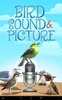 Bird Sound and Picture screenshot 15