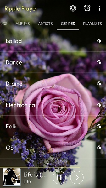Ripple Music Player - Preview 2