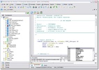 DreamCoder for Oracle Enterprise screenshot 2