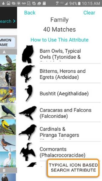 iBird Lite - Preview 17