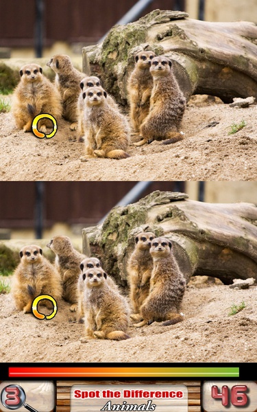 Spot the Difference Animals - Preview 3