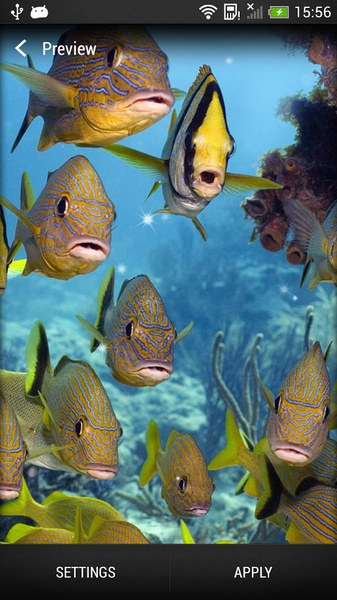 Sea Animals Live Wallpaper - Preview 8