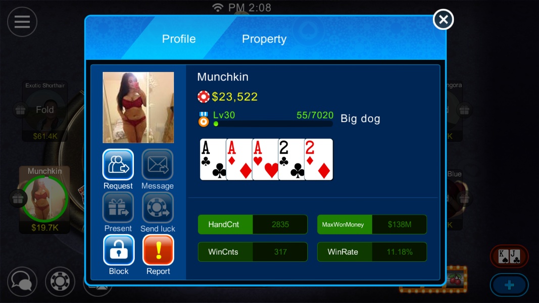 Dinger Poker - Preview 2
